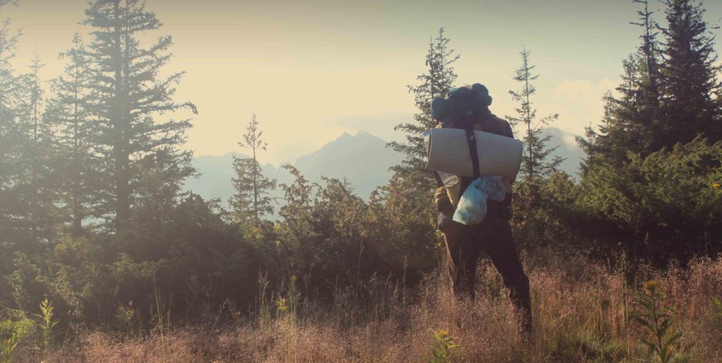 Viajante admirando a paisagem enquanto percorre a trilha (Divulgação / Pexels)