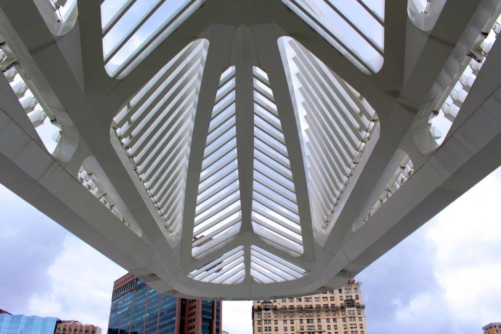 Arquitetura do Museu do Amanhã é representada por traços expressivamente naturais e ao mesmo tempo, modernos (Foto: La Viagem)