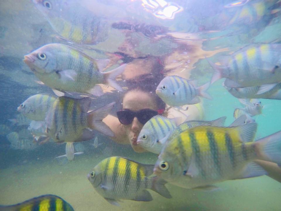 Mergulhar num cardume de peixes coloridos já esta riscado de sua lista (Foto: Tarini Ferreti)