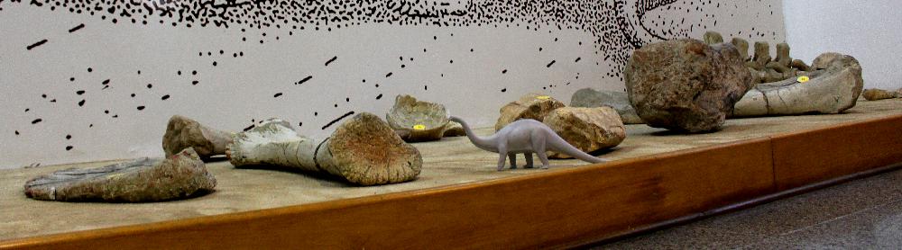 O Museu Geológico faz exposições sobre a era dos dinossauros (Foto: La Viagem)