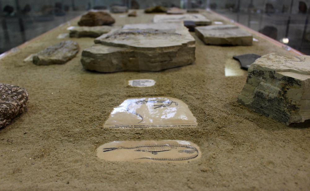 O Museu Geológico faz exposições sobre a era dos dinossauros (Foto: La Viagem)