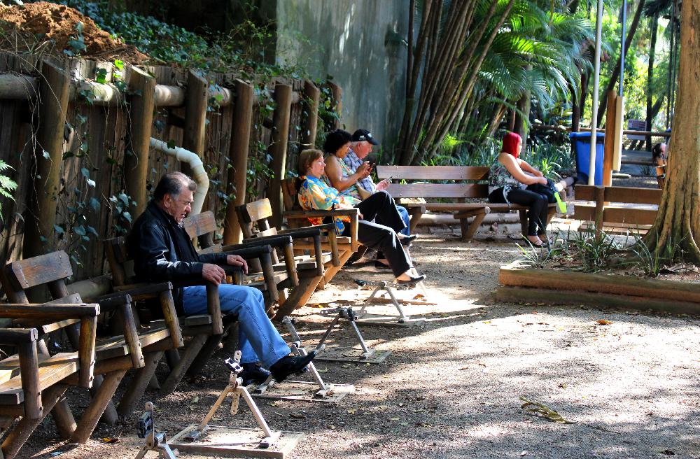 A Praça dos Idosos impressiona pela tranquilidade e equipamentos para pratica de exercícios no Parque da Água Branca em São Paulo (Foto: La Viagem)