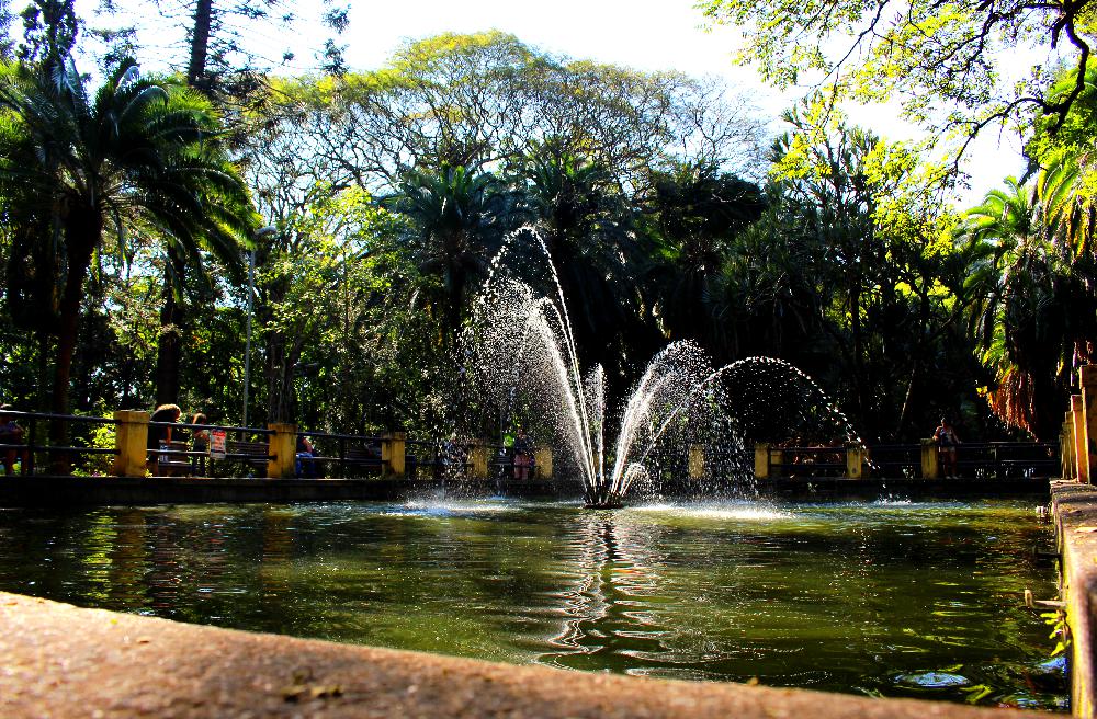 A Praça dos Idosos impressiona pela tranquilidade e equipamentos para pratica de exercícios no Parque da Água Branca em São Paulo (Foto: La Viagem)