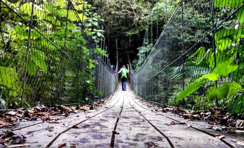 Ponto percorrido ao longo dos passeios no PETAR (Foto: La Viagem)
