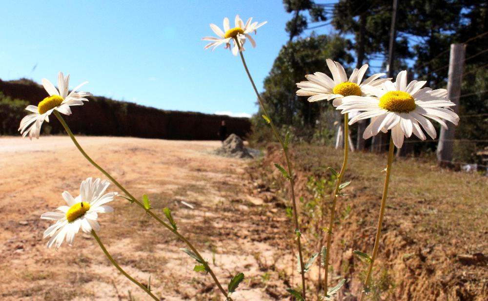 A natureza fala no distrito de Monte Verde, Sul de Minas Gerais. (Foto: La Viagem)