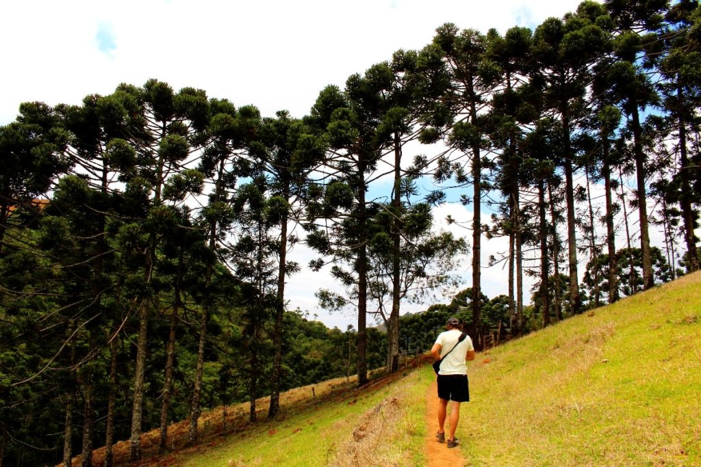 A trilha que leva até a Cachoeira do Cruzeiro, passa pela cachoeira das 7 quedas e a cachoeira do Retiro, na cidade de Gonçalves, Sul de Minas Gerais. (Foto: La Viagem)
