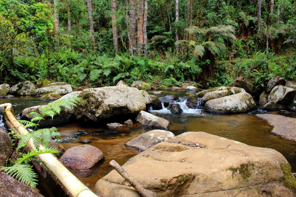Visite Gonçalves e conheça as cachoeiras: das 7 Quedas, do Retiro e Cruzeiro, no Sul de Minas Gerais. (Foto: La Viagem)
