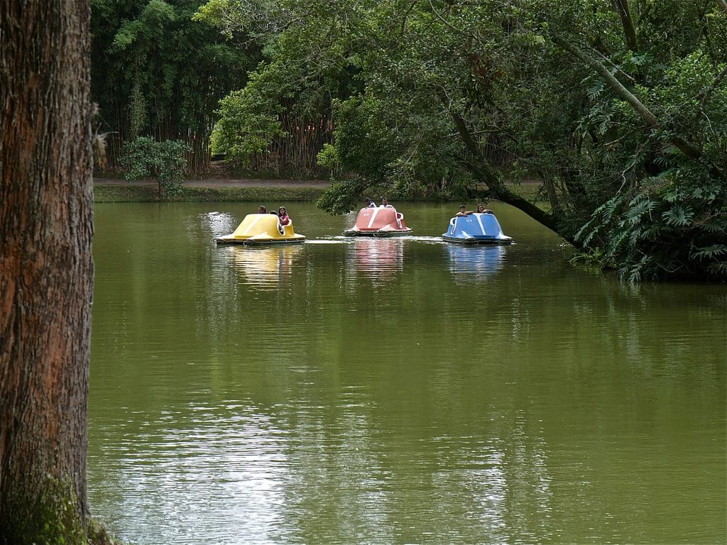 Além do Jardim Japonês e os bosques, há diversas atrações no Parque das Águas em São Lourenço, no Sul de Minas Gerais. (Foto: La Viagem)