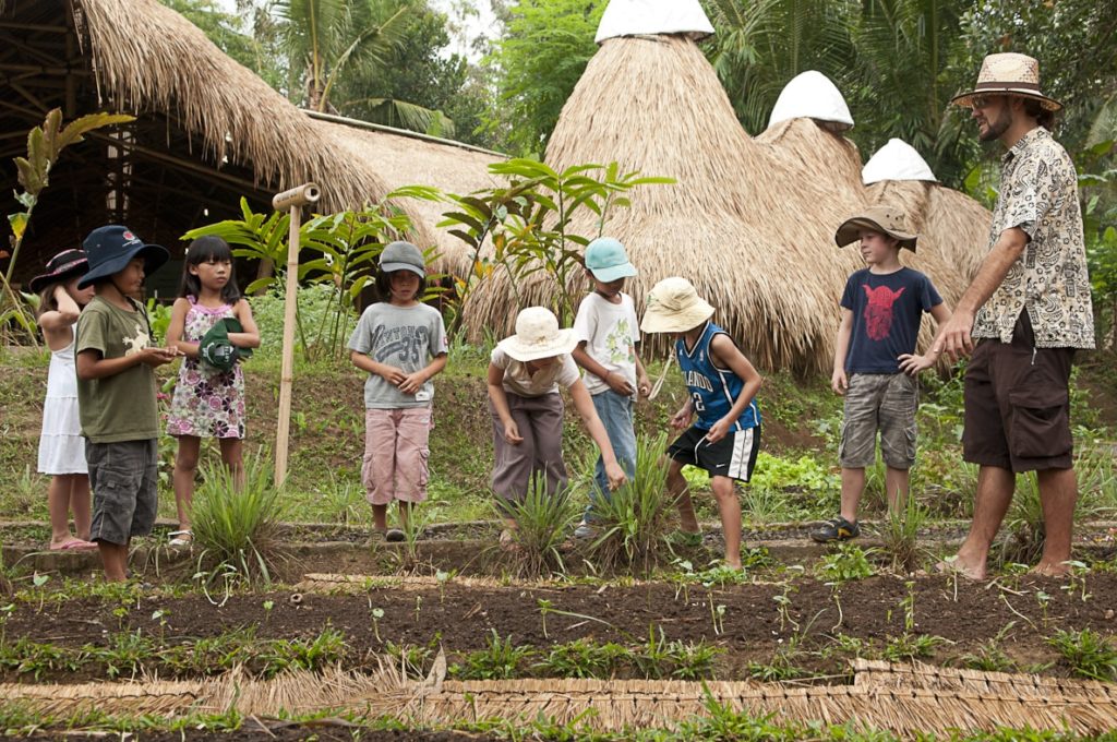 A Green School integra os conteúdos tradicionais acadêmicos junto a aprendizagem ambiental. (Divulgação / Green School)
