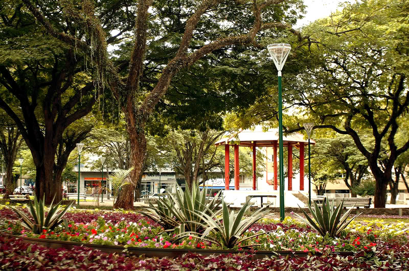 Parque no centro de Itajubá. As flores e o clima tranquilo dão um charme para a cidade, localizada no estado de Minas Gerais (Divulgação/Internet)