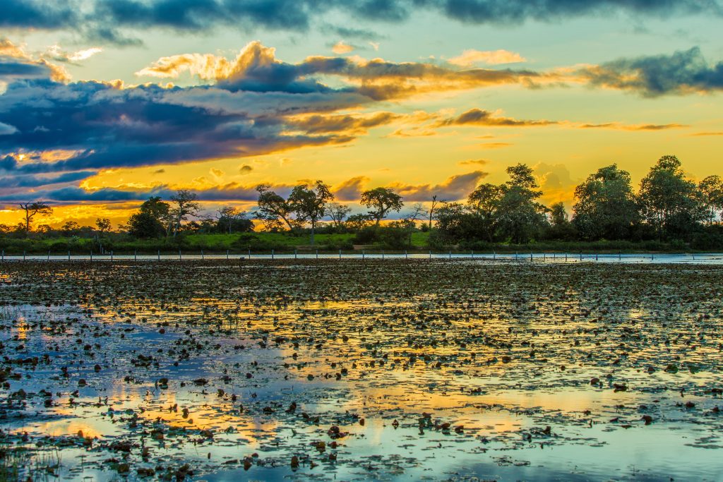 O pôr-do-sol no Pantanal. Uma paisagem exuberante da natureza do Brasil (Divulgação / Internet)