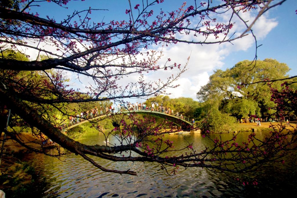 A Parque Ibirapera, considerado o maior parque urbano de São Paulo, foi inaugurado em comemoração do quarto centenário da cidade. (Divulgação/Internet)