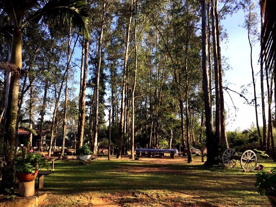 A natureza e sua totalidade na tranquilidade que o Sítio Frediani proporciona ao visitante. (Divulação/Internet)