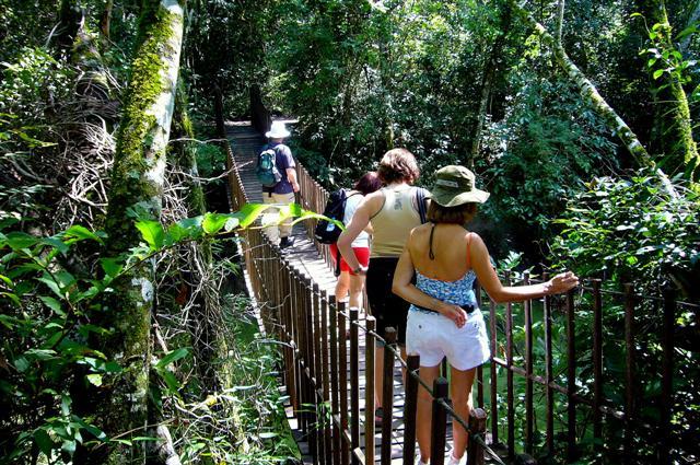 No Ecoturismo aprendemos a conviver e respitar a natureza. (Divulgação/Internet)