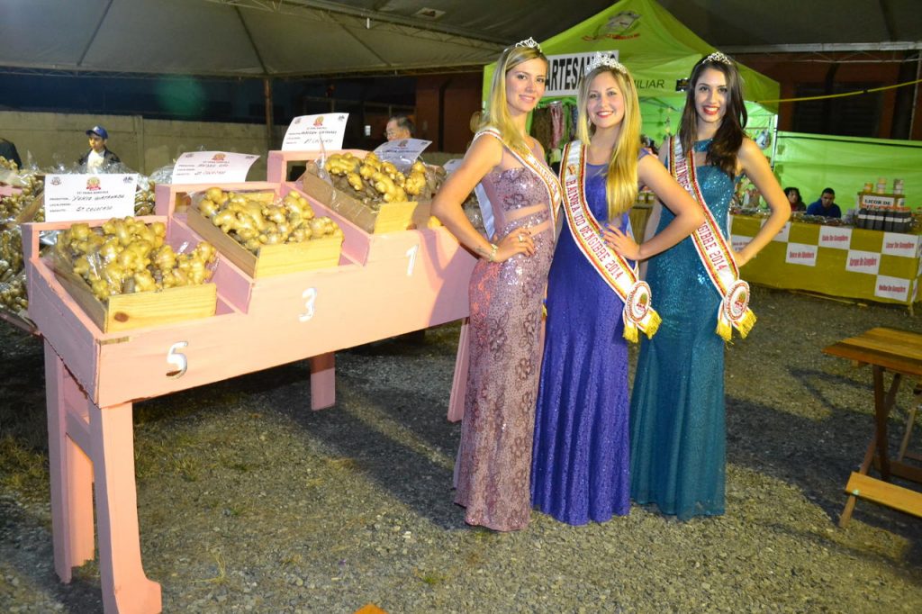 A Festa do Gengibre acontece na cidade de Tapirai no interior de São Paulo. (Divulgação / Internet)