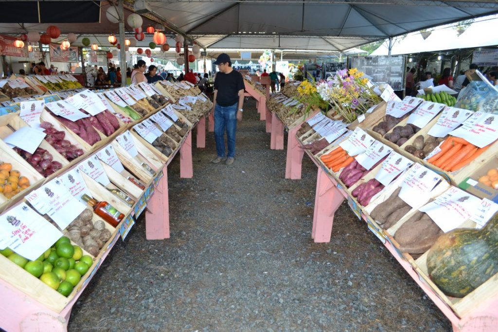 A Festa do Gengibre acontece na cidade de Tapirai no interior de São Paulo. (Divulgação / Internet)