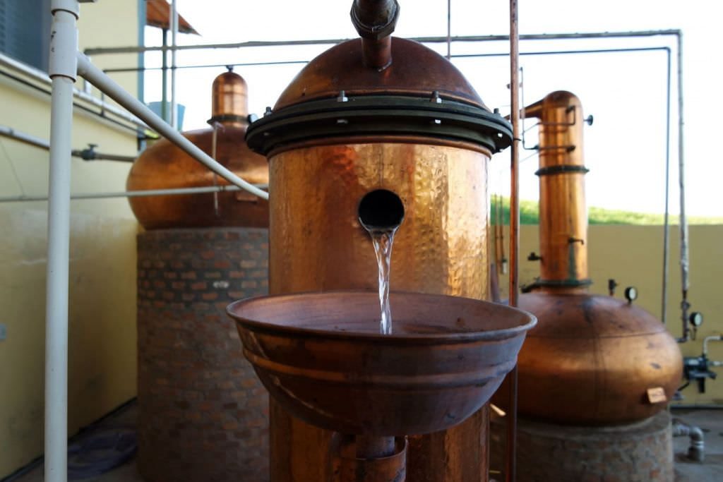 Produtora de Cachaça em Dracena, São Paulo. (Divulgação / Internet)